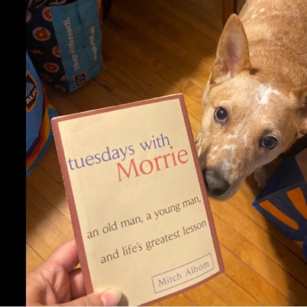 Tuesdays with Morrie Paperback Book - Cream and Red Cover